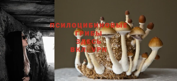 прущая мука Арсеньев